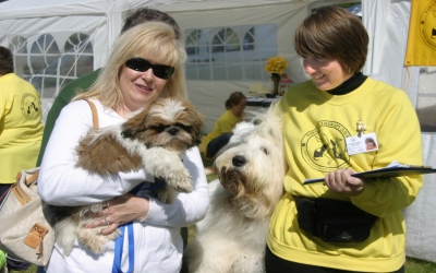 Southern Show1