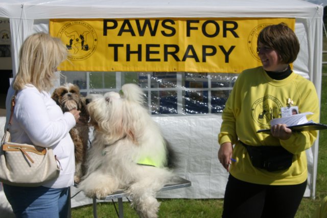 bertieaddressesapossiblenewtherapydog.jpg