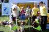 tynwaldfair200819_small.jpg