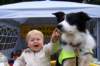tynwaldfair20087_small.jpg