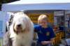 tynwaldfair200821_small.jpg